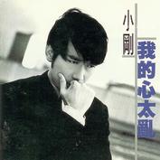 我的心太乱 cover